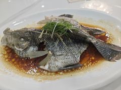 -旭璟酒家·传统粤菜·湘菜(逸景路店)