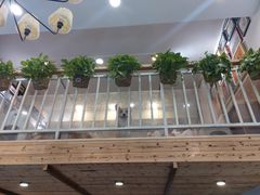 -柯斗斗主题餐厅·狗咖·围炉煮茶·茶饮(国瑞升平里店)