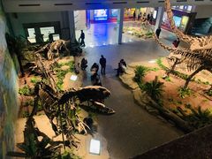 -自贡恐龙博物馆