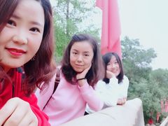 -延安杨家岭革命旧址