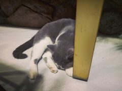 -犇牛记·鲜牛肉火锅