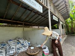 -大象粑粑造纸公园