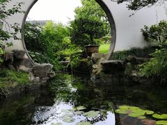 -上海醉白池公园