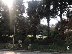 -中国福利会少年宫