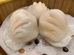 酒家虾饺皇-华联广州大酒店-餐厅