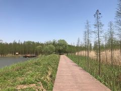 -上海长兴岛郊野公园