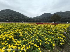 -广州市石门国家森林公园