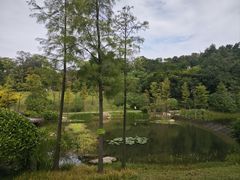 -云溪植物园