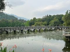 -星湖旅游景区七星岩