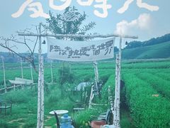 -龙坞茶村