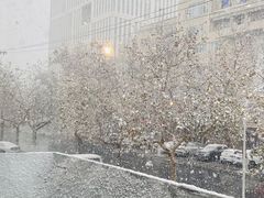-东土食研所(渔港路店)