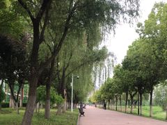 -汉江湾体育公园