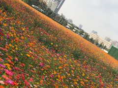 -武汉理工大学（南湖新校区）-图书馆