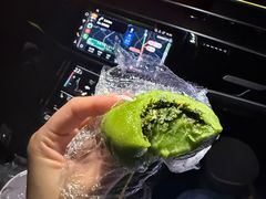 -沈大成(南京东路店)
