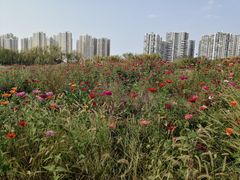 -白塘生态植物园