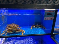 -旺豪海鲜餐厅(友谊阳光城店)