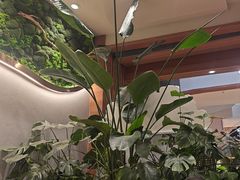 -云海肴·汽锅鸡·云南菜(曲江大悦城店)