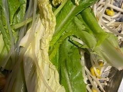 -刘记光大火锅鸡(北行店)