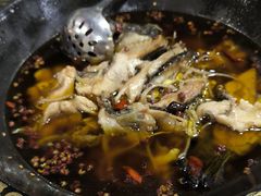 -金三可市井水煮鱼(金碧园店)