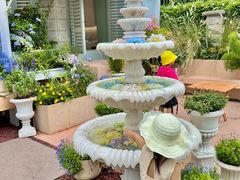 -苏小糖(鼓浪屿三丘田花园店)