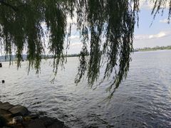 -西湖外事游船(花港观鱼码头)