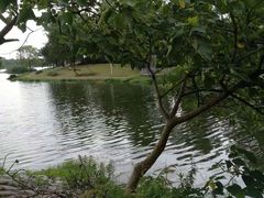 -美兰湖景区