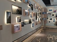 -黄山排云型旅酒店餐厅