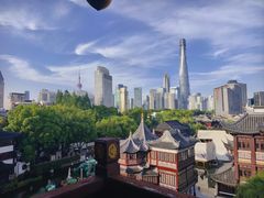 -绿波廊七号(豫园新路店)