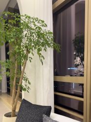 -JNK皮肤管理中心