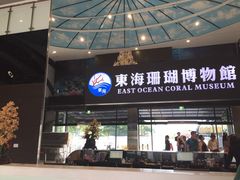 东海珊瑚博物馆-东海珊瑚博物馆
