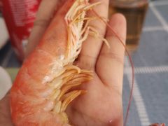 -湛江海鲜餐厅
