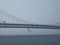 -星海湾跨海大桥