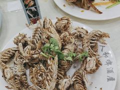 -人和啤酒屋海鲜大排档(营口路店)