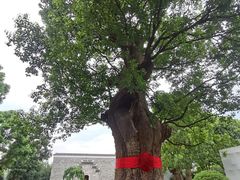 -养云安缦吧THE BAR