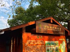 -西湖外事游船(花港观鱼码头)