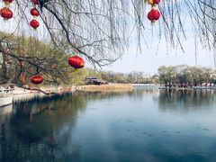 -百脉泉景区