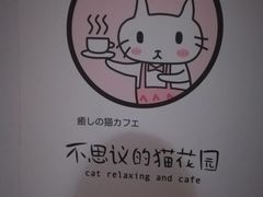 -猫猫幼稚园·撸猫·桌游·电玩