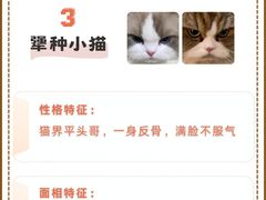 -爱侣宠医·鹦鹉专科·小型哺乳类·异宠专科(灵石路店)