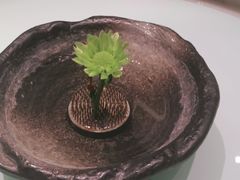 -城南往事·鲁菜济南菜(软件园美莲广场店)