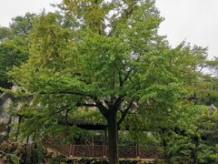 -惠山古镇·寄畅园