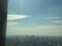 -上海柏悦酒店