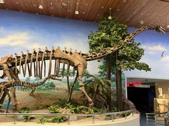 -延庆地质公园博物馆