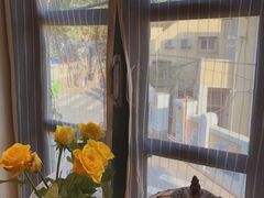 -不舍昼夜咖啡馆