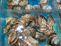 -徐记海鲜(阿波罗店)