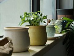 -上海市敬业中学