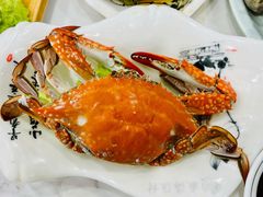 有膏梭子蟹-威海渔村(黄兴路店)