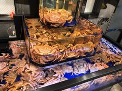 -蟹道乐(道顿堀本店)
