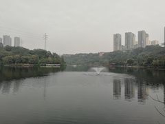 -重庆彩云湖湿地公园