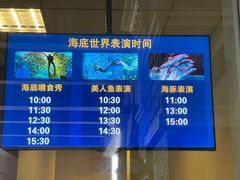 -哈尔滨波塞冬海底世界