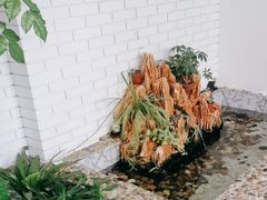 -ins森林童话餐厅coffee&bistro